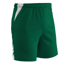 Basketball short